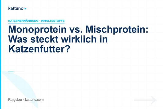 Monoprotein vs. Mischprotein Katzenfutter — was steckt wirklich drin? | kattuno