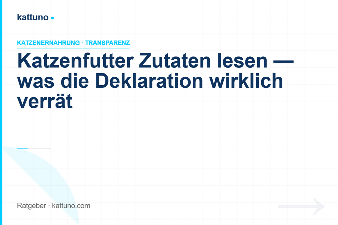 Katzenfutter Zutaten lesen: Was die Deklaration wirklich verrät | kattuno