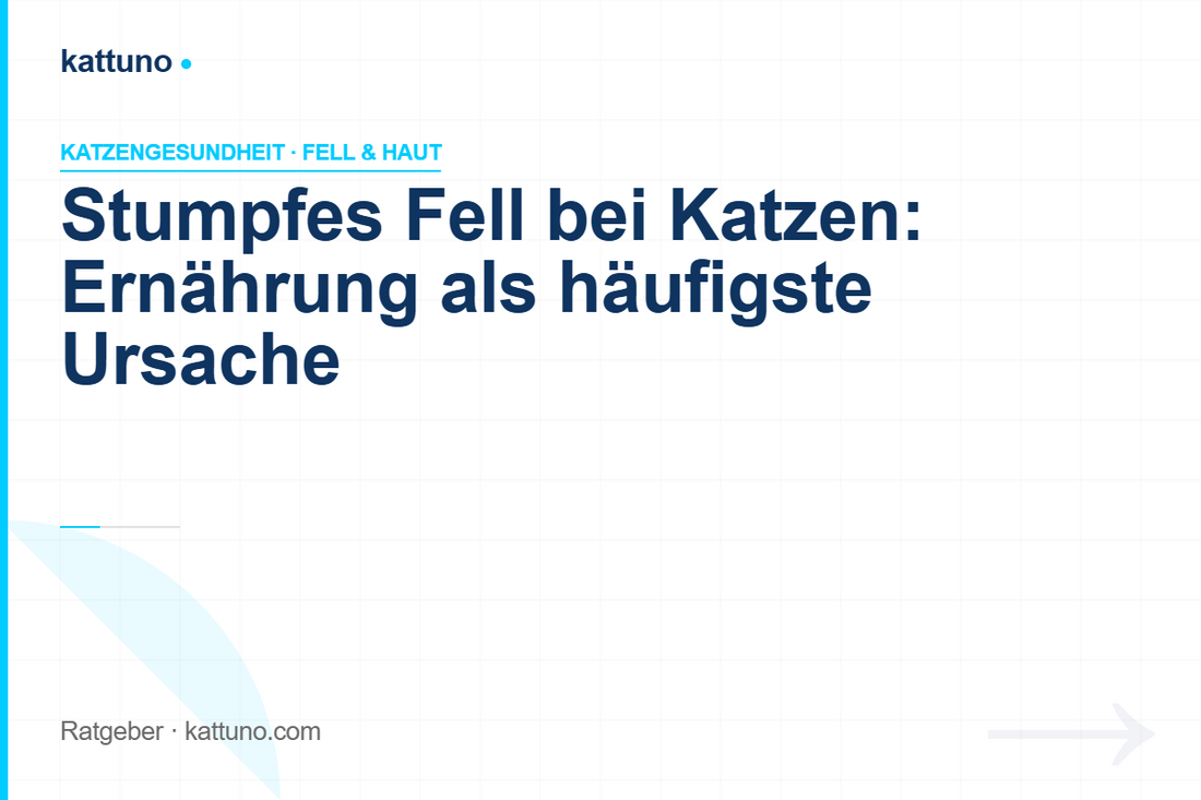 Stumpfes Fell bei Katzen: Warum Ernährung die häufigste Ursache ist | kattuno